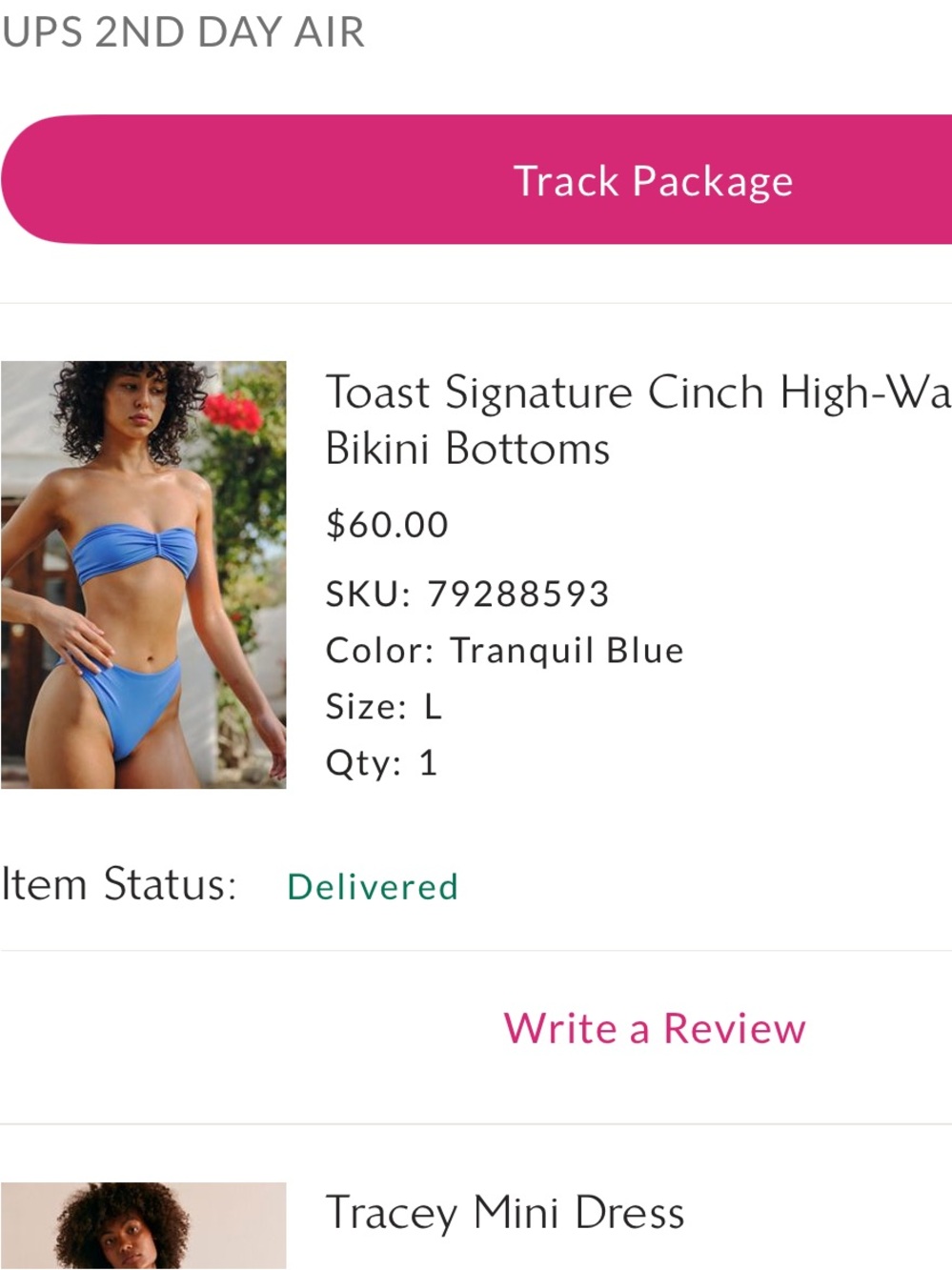 Toast Signature Cinch High-Waisted Bikini Bottoms in Tranquil Blue